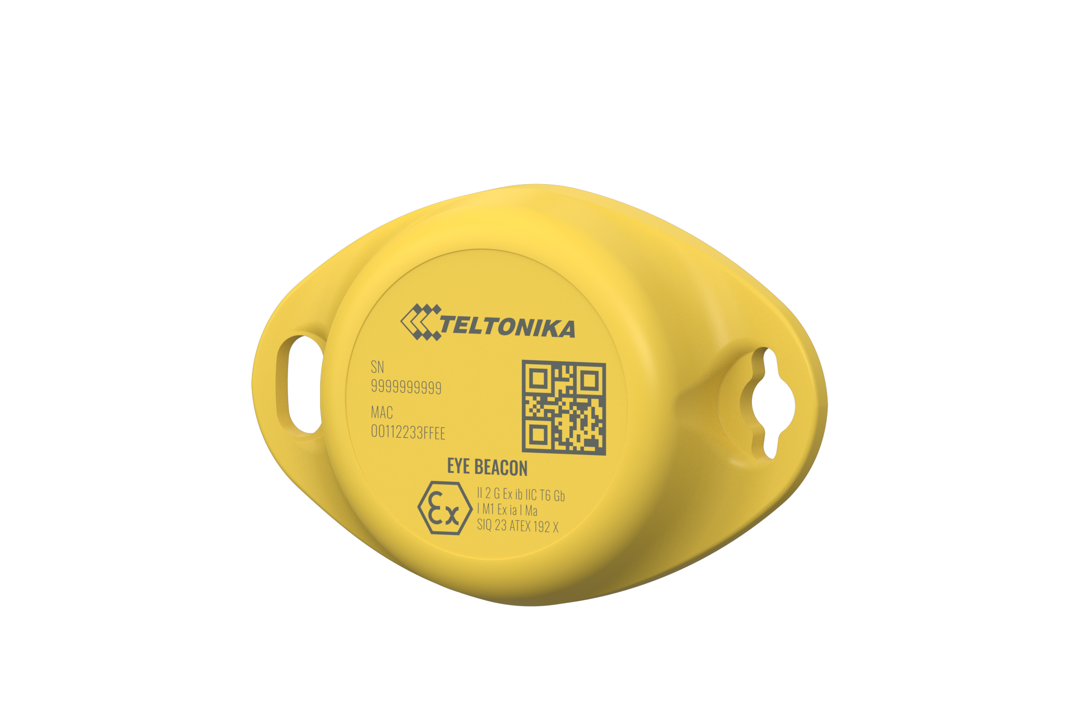 Teltonika Telematics BTSID1EXDA02