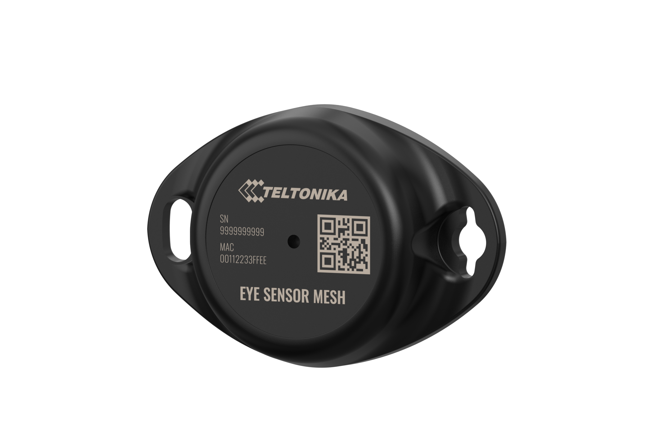 Teltonika Telematics MTSMP1STAA02