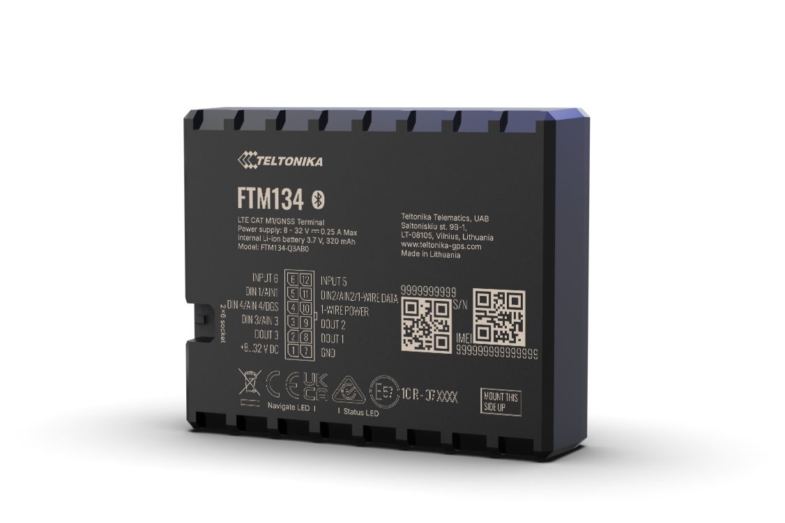 Teltonika FTM134